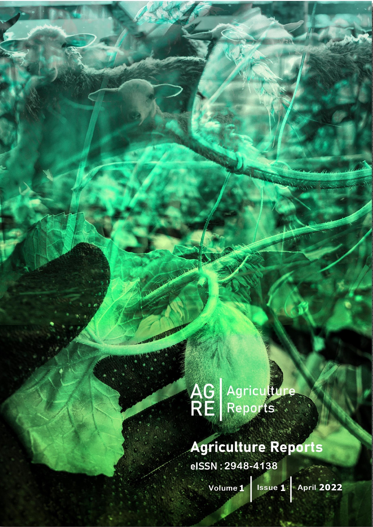 COVER PAGE